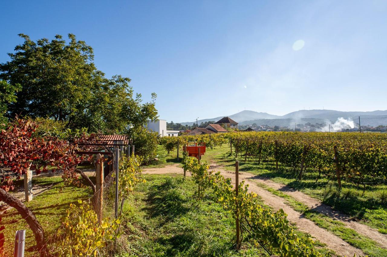 Quinta De Vila Nova - Agroturismo Монсан Экстерьер фото